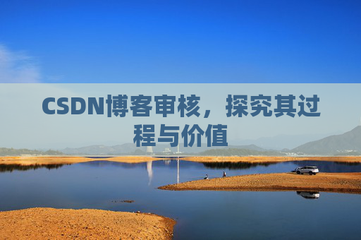 CSDN博客审核，探究其过程与价值